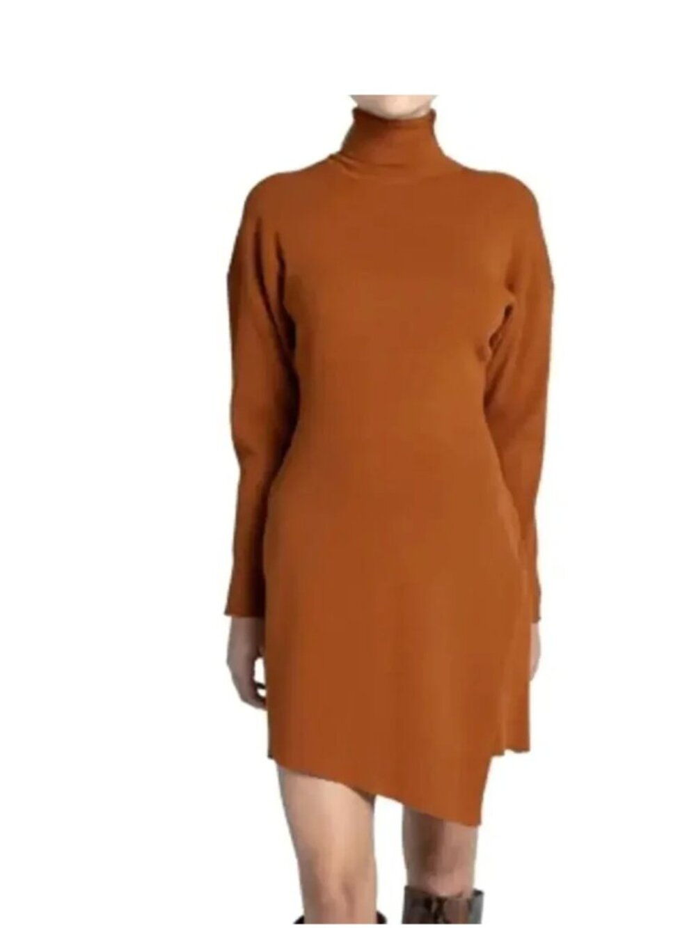 A.L.C. Virgo Turtleneck Long sleeve Dress in Allspice Small